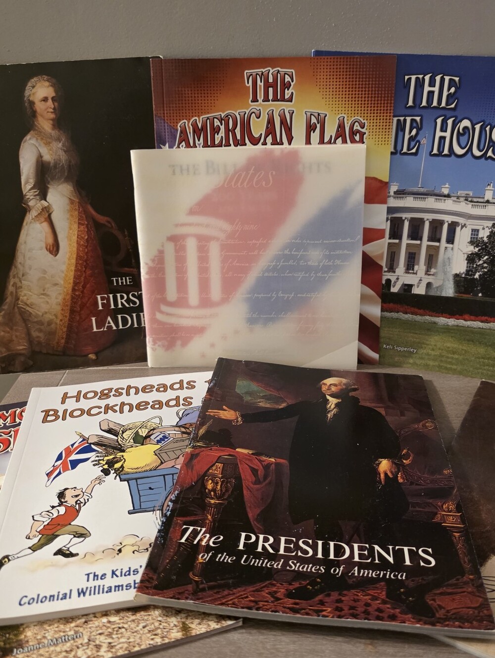 Educational USA Government Books 250 Years Presidents White House Bill Of Rights